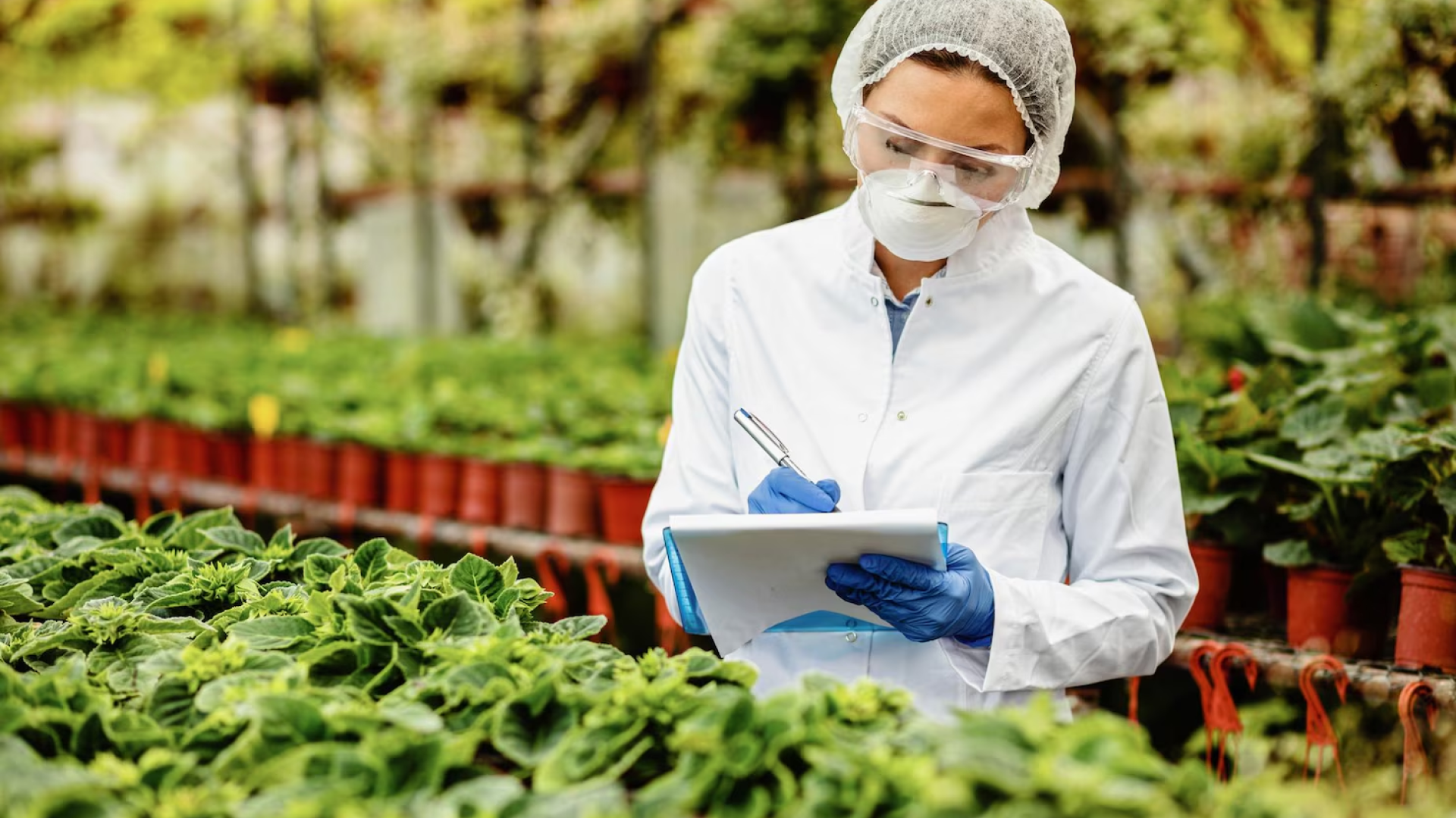 Quality You Can Trust: Our Commitment to Food Safety and Standards